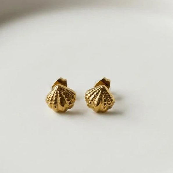Golden Seashell Stud Earrings